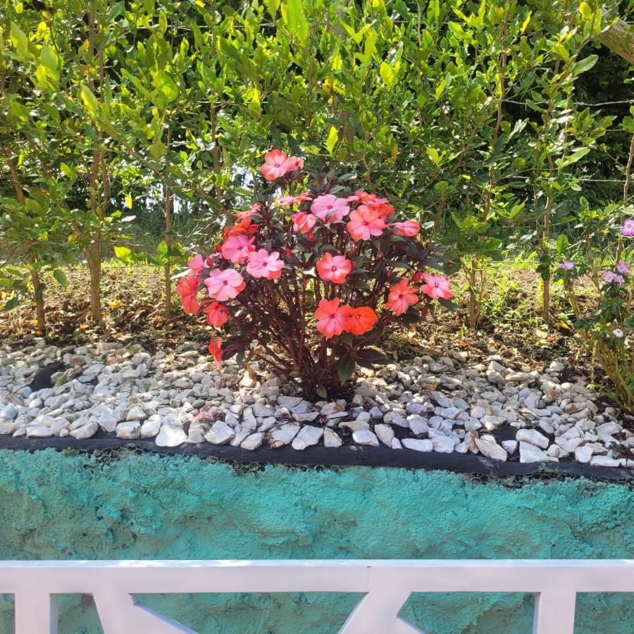 Finca Hotel El Turpial 金巴亚 外观 照片